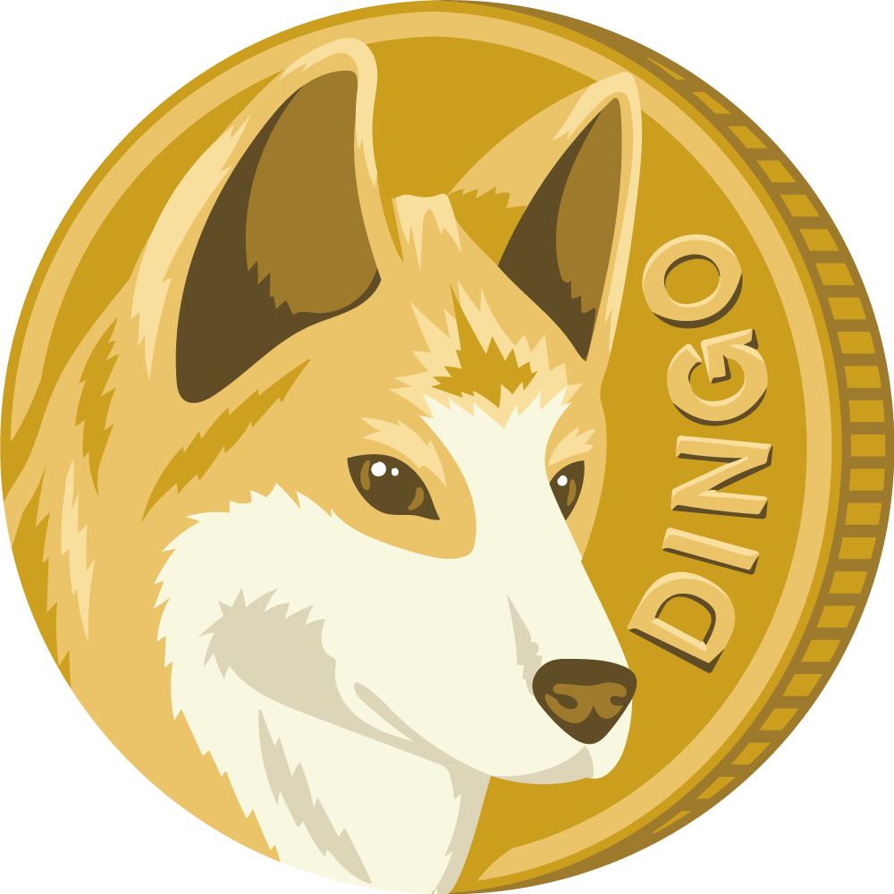 Dingo