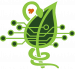 Swamp